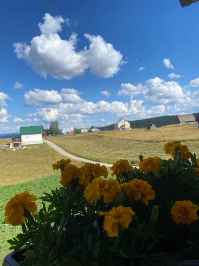 Apartman Bukovac Žabljak Extérieur photo